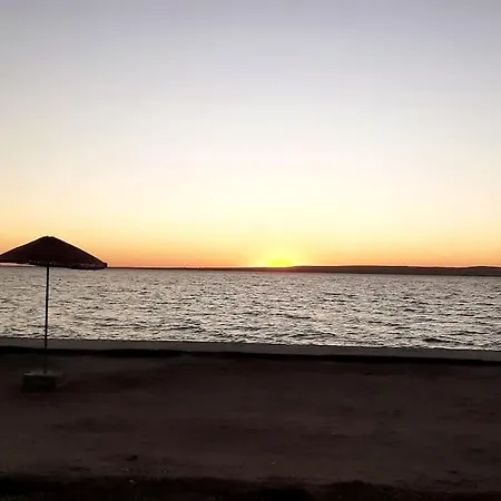 公寓 Sea, Sun And Peace At Didim-akbuk