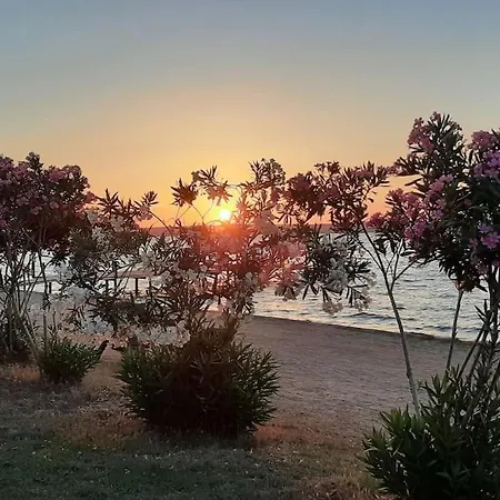 Sea, Sun And Peace At Didim-akbuk 公寓 阿库布克