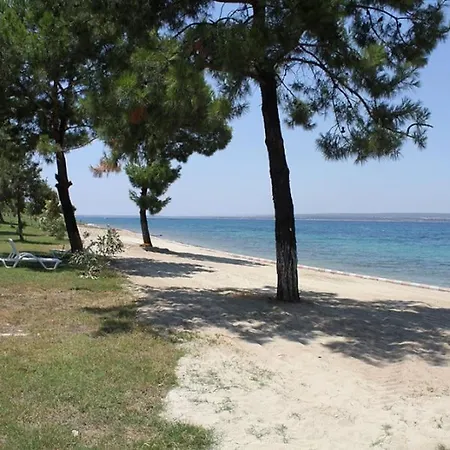 Sea, Sun And Peace At Didim-akbuk 公寓